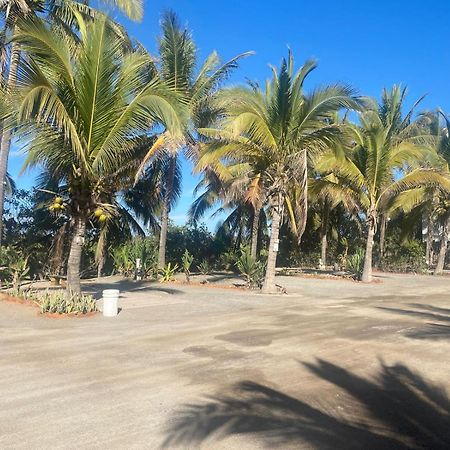 Bungalows Laguna Del Tule San Patricio Melaque Eksteriør bilde